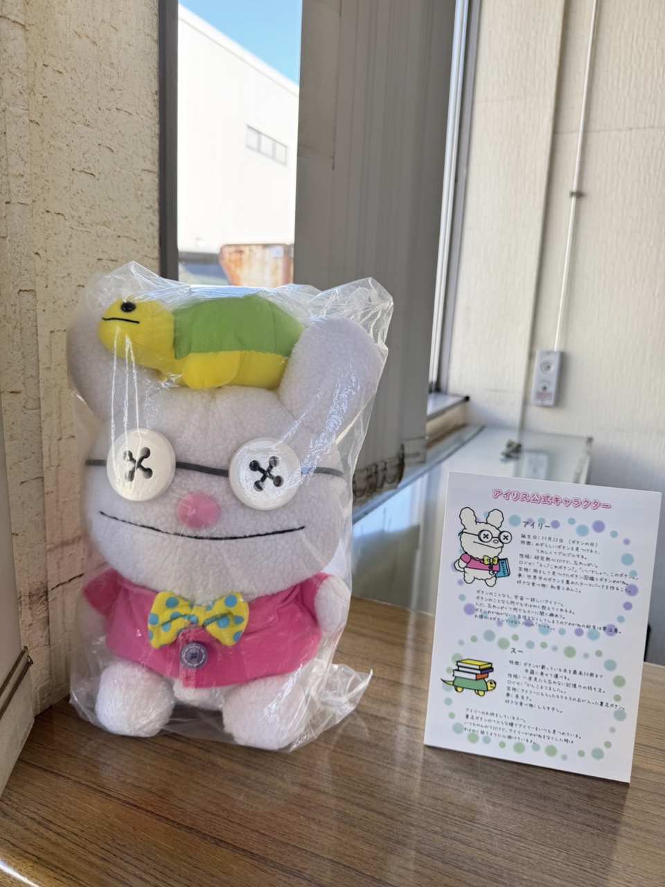 Visiting Iris Button Factories